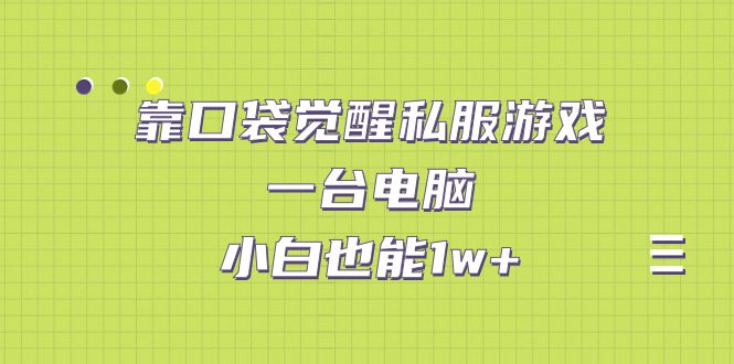 （7113期）靠口袋觉醒私服游戏，一台电脑，小白也能1w+（教程+工具+资料）