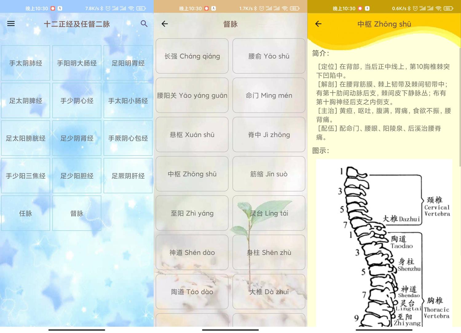 安卓人体穴位图解v3.1.3可离线版-资源之家 安卓人体穴位图解v3.1.3可离线版-资源之家