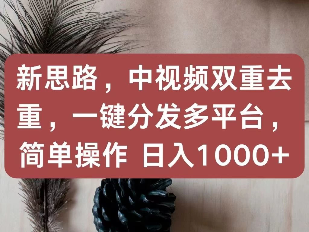 新思路，中视频双重去重，一键分发多平台，简单操作，日入1000+！快来试试吧！