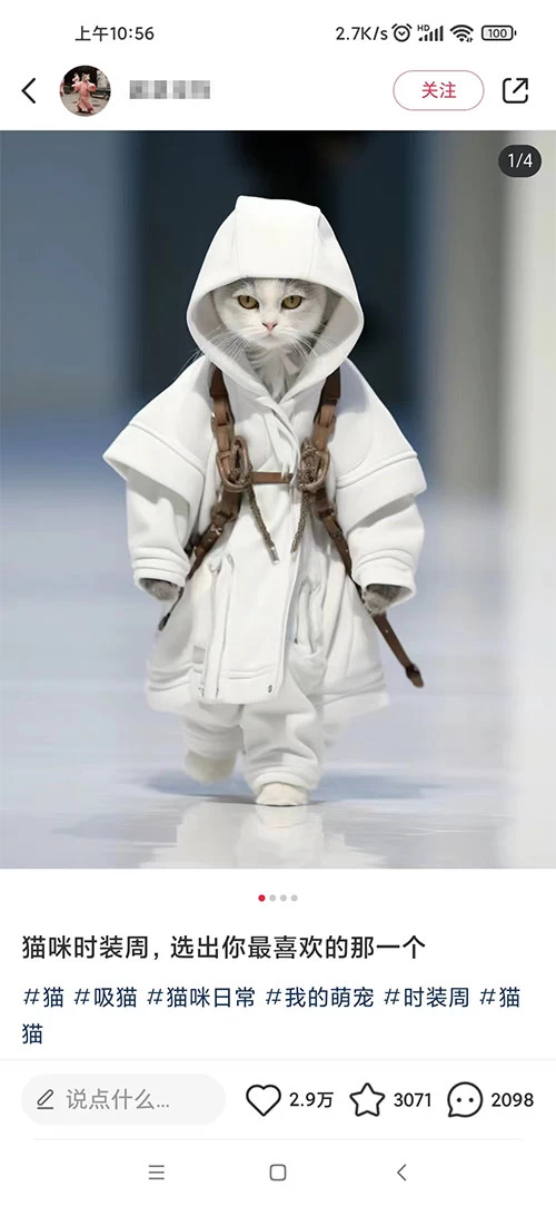 小红书最新爆款项目，Animal 秀，7天变现 1w+-资源之家