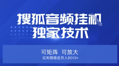 【搜狐音频挂G】独家技术，可矩阵可放大，红利期稳定月入8k【揭秘】