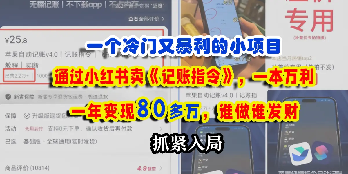 一个冷门又暴利的小项目，通过小红书卖记账指令，一本万利，一年变现80多个，谁做谁发财