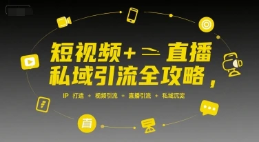 【精】短视频+直播私域引流全攻略，IP打造 +视频引流 +直播引流 +私域沉淀