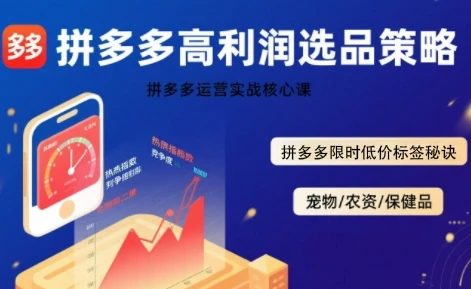 【精】拼多多选品暴利技术实战课，拼多多高利润选品策略，拼多多限时低价标签秘诀