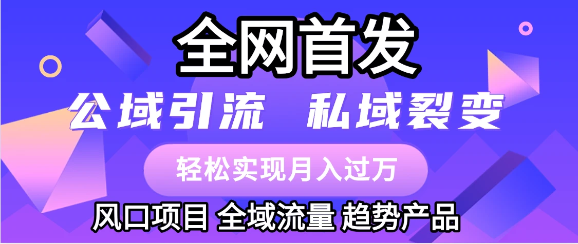 全网首发：公域引流，私域引流，风口项目，全域流量，趋势产品，轻松变现