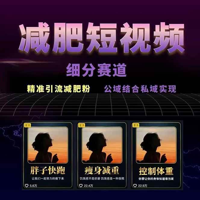 减肥短视频运营实战课：含素材制作、剪映教学，讲精准引流、变现设计与内容模板技巧-资源之家