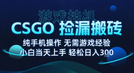 8月最新游戏搬砖，CSGO纯挂G，不需要玩游戏，实现真挂G，月入1W+【揭秘】