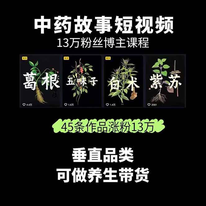中药文化赛道：溯源故事开发，AI工具实战，平台运营，全方位解锁中医流量变现新路径-资源之家