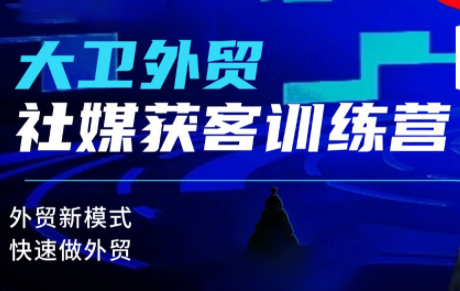 大卫老师·外贸社媒获客独家训练营(更新10月)