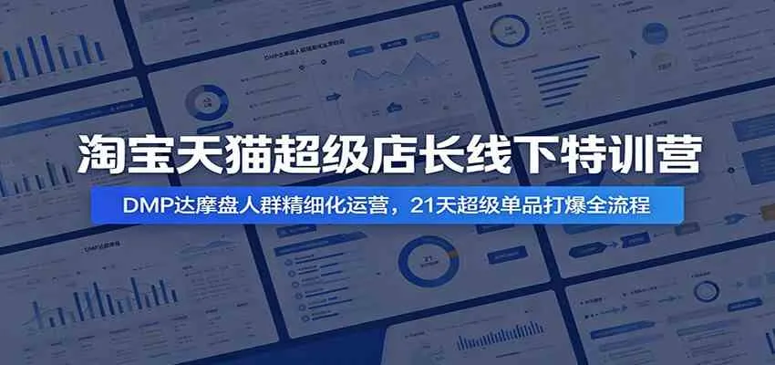 淘宝天猫超级店长线下特训营:DMP达摩盘人群精细化运营,21天超级单品打爆全流程 淘宝天猫超级店长线下特训营:DMP达摩盘人群精细化运营,21天超级单品打爆全流程