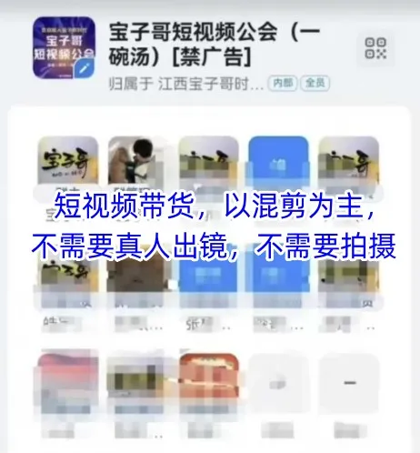宝子哥头部团队短视频带货，以混剪为主，不需要真人出镜，不需要拍摄【更新26年3月】