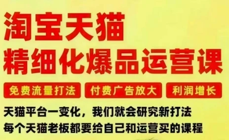 【精】淘宝天猫精细化爆品运营课，免费流量打法-付费广告放大-利润增长-三大核心痛点，一次全部解决