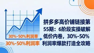 【精】拼多多高价铺链接第55期：6阶段实操破解低价内卷，30%-50%利润率爆款打造全攻略