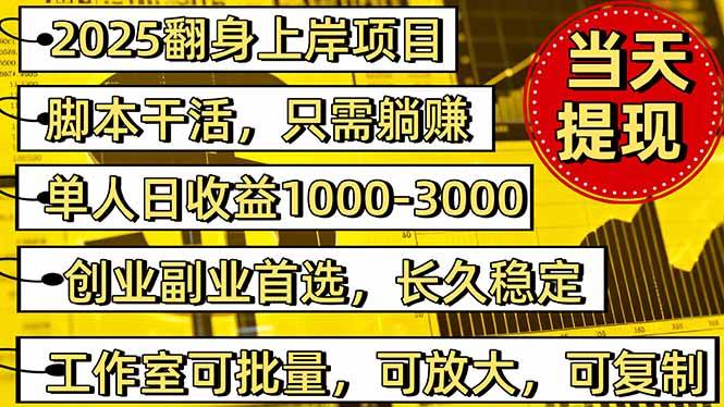 （16501期）2025翻身上岸项目脚本干活，内部客户经理内部开号，单人日收益1000-300…-资源之家