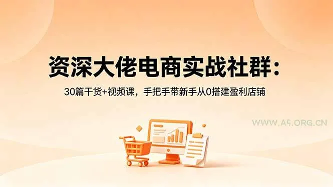 【精】资深大佬电商实战社群：30篇干货+视频课，手把手带新手从0搭建盈利店铺