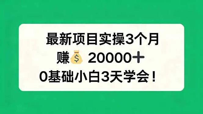 （17856期）最新项目实操3个月，赚钱20000+，0基础小白3天学会！