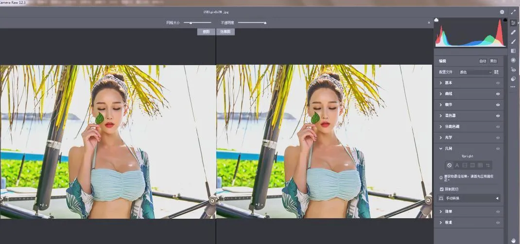 RAW处理Adobe Camera Raw v18.6.0中文版
