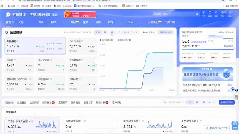 淘宝VIP特训课-更新1031：蓝海选品+付费投放｜短视频AI运营｜大促起爆全流程，破解店铺无流量无利润难题