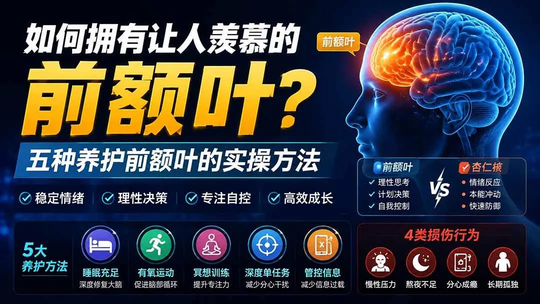 (19805期)付费文章:如何拥有让人羡慕的前额叶?五种养护前额叶的实操方法 (19805期)付费文章:如何拥有让人羡慕的前额叶?五种养护前额叶的实操方法