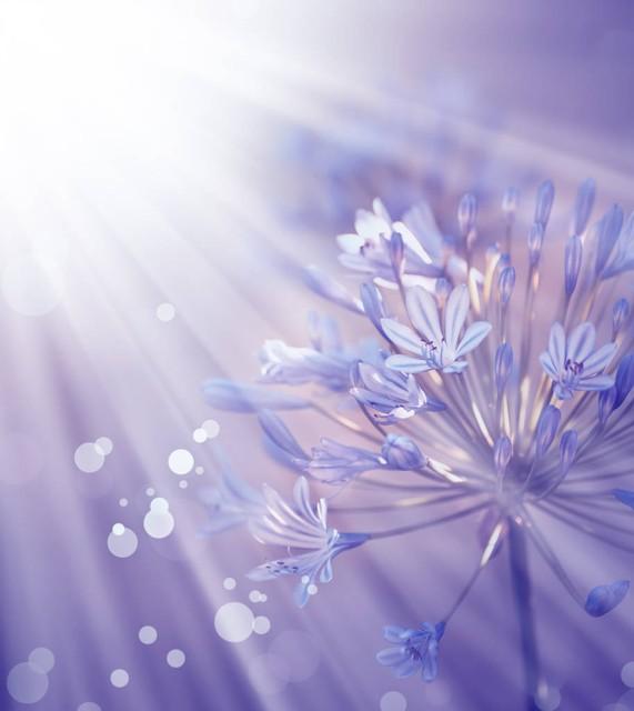 朋友圈置顶文案，励志诗意句子，个性签名，今日份小美好文案