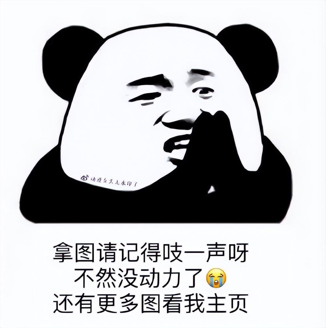 头像|高清好看的女生头像