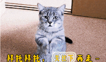 支付宝、微信转账转错了怎么办，学会这种技巧有“后悔药”吃