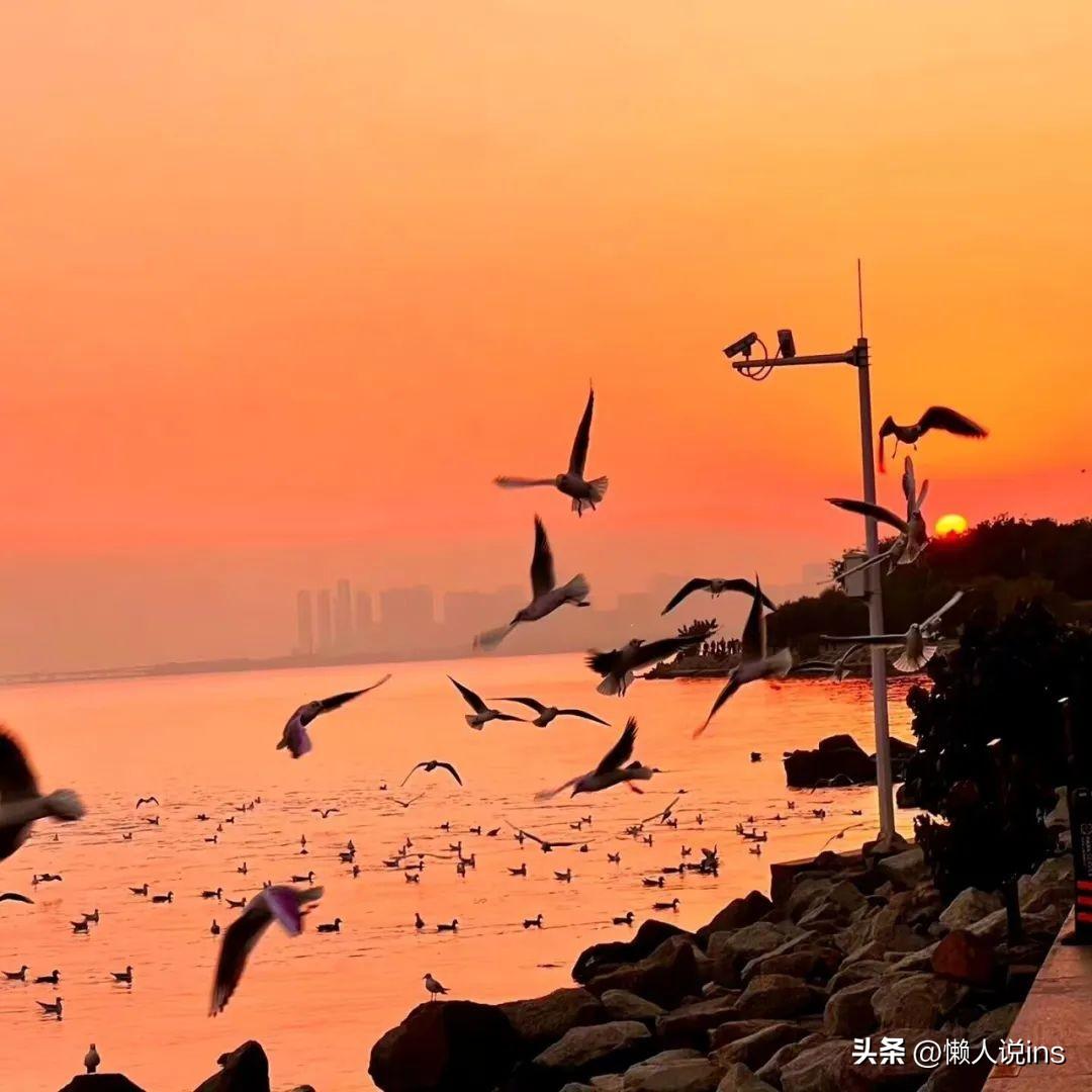 高级又小众的微信签名