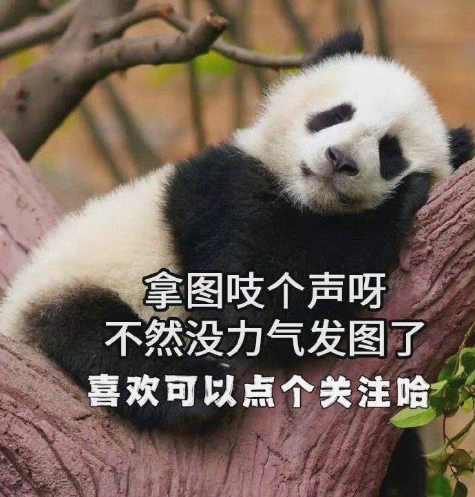 这组情侣头像也太甜了吧