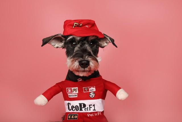 搞笑文案｜适合发朋友圈